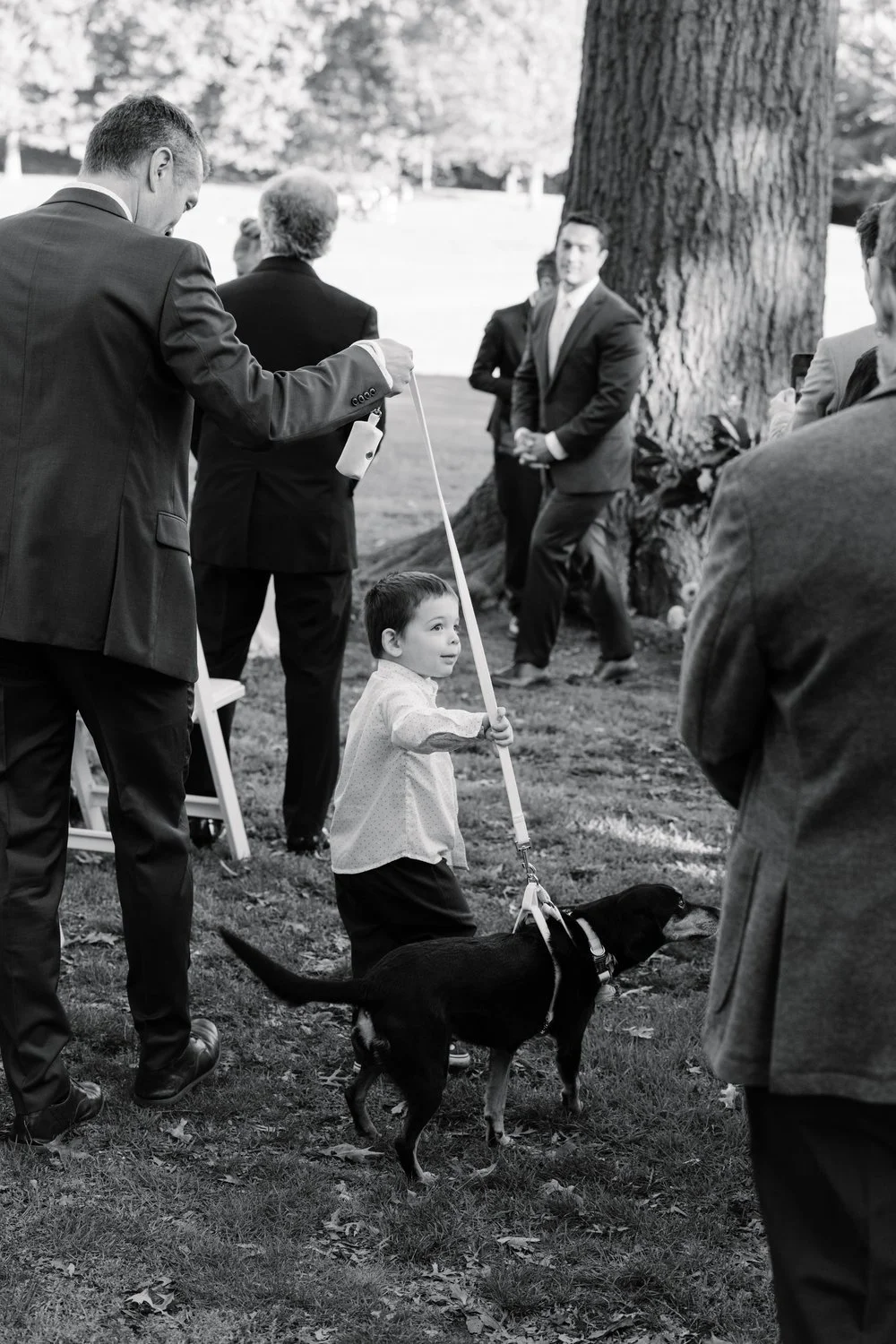 ring-bearer-dog-wedding-aisle-black-and-white.jpg